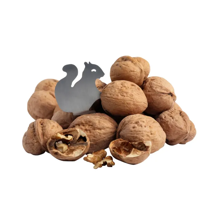 CEVİZ AÇACAĞI